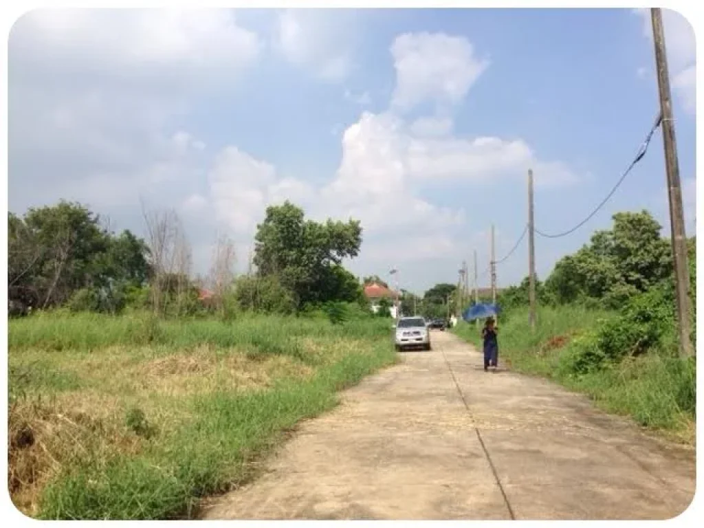 ขายที่ดินหมู่บ้านปาริชาต ตบางคูวัด อเมือง จปทุมธานี