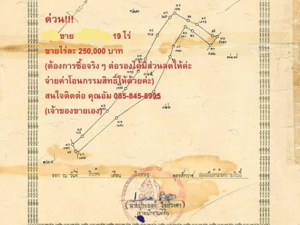 ขายที่ดิน 19 ไร่ 250000สนใจต่อรองได้ค่ะ