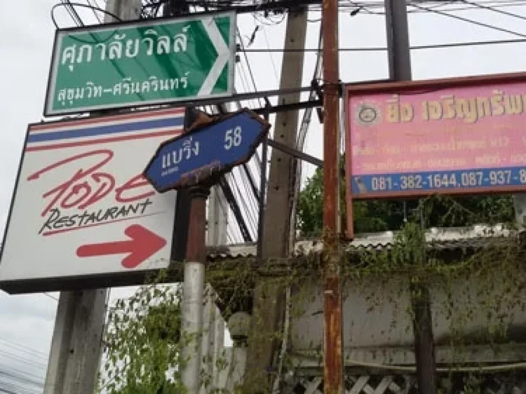 ขายที่ดิน สุขุมวิท 107 ซอยแบริ่ง58 2-0-72 ไร่ 52 ล้าน ใกล้ BTS แบริ่ง สำโรงเหนือ เมืองสมุทรปราการ