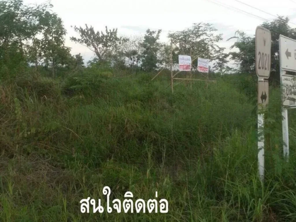 ขายที่ดินติดถนน สายบ้านผือ-ดงไร่ ห่างจาก อบ้านผือ 6 กม