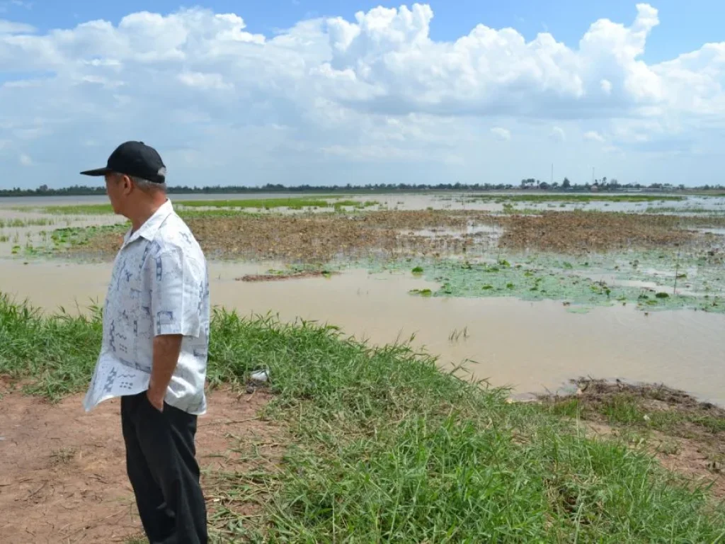 ที่ดิน 23 ไร่ 2 งาน 83 ตรวา ติดหาดบ้านน้ำจั้นน้อย อเสลภูมิ จร้อยเอ็ด