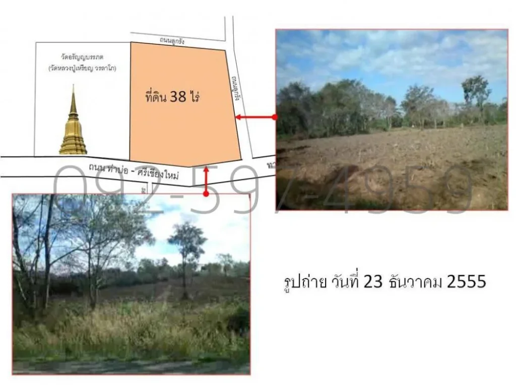 ขายที่ดินหนองคาย 37 ไร่ 1 งาน 96 ตารางวา ราคาขายยกแปลง