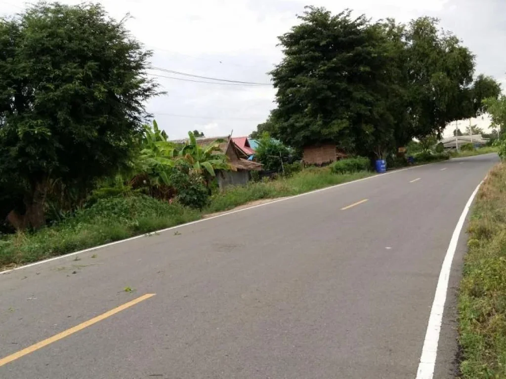 ที่ดินสวยด้านหน้าติดถนนใหญู่ ด้านหลังติดแม่น้ำท่าจีนสุพรรณบุรี