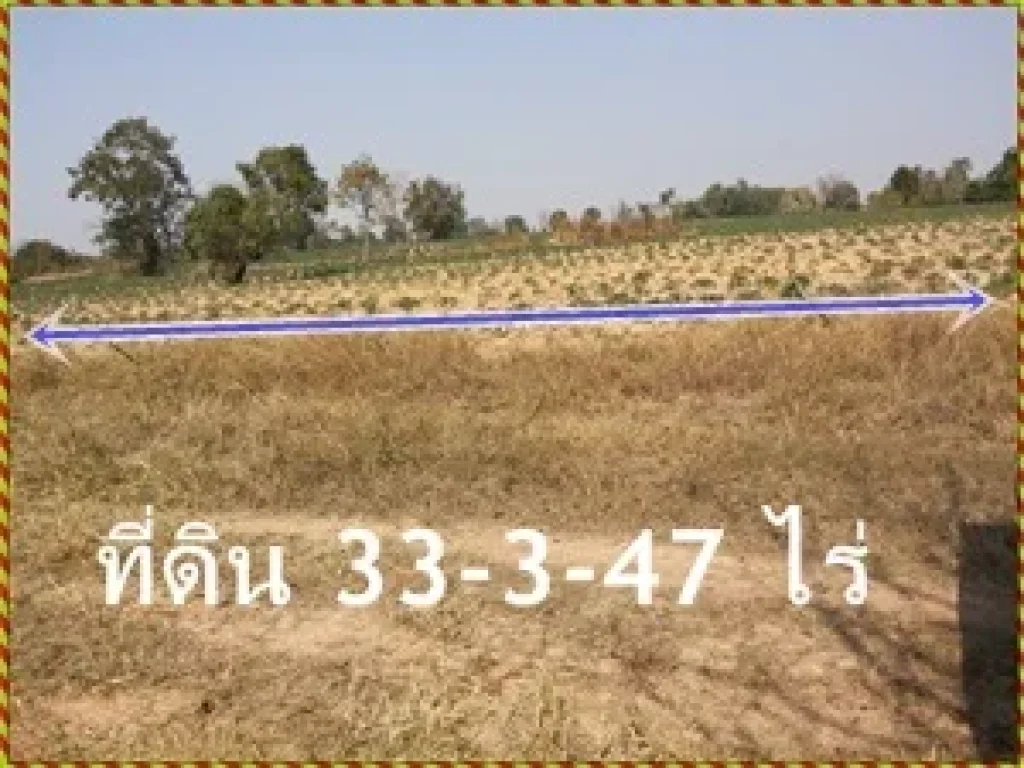 ขายที่ดิน 33 ไร่ 3งาน 47ตรว ไม่แพง เป็นโฉนดพร้อมโอนชื่อเจ้าของคนเดียว