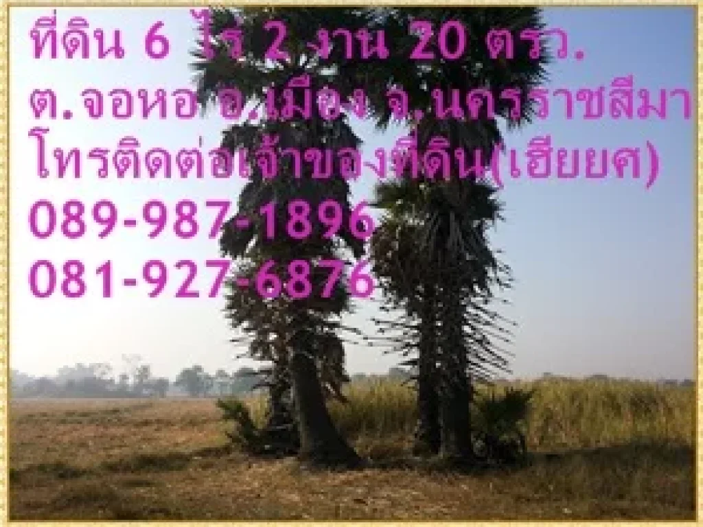 ขายที่ดิน 6 ไร่ 2 งาน 20 ตรว ตจอหอ อเมืองนครราชสีมา จังหวัดนครราชสีมา