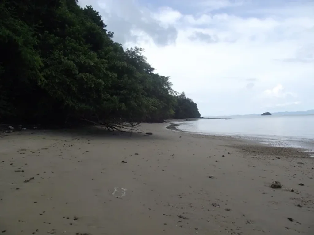 ขายที่ดินเกาะสิเหร่ ภูเก็ต หาดส่วนตัว 320 ไร่ฯละ 15 ล้านบาท