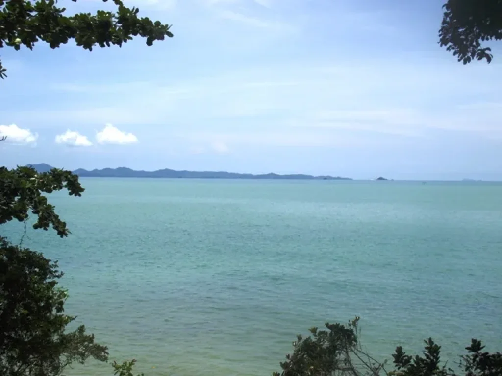 ขายที่ดินเกาะสิเหร่ ภูเก็ต หาดส่วนตัว 320 ไร่ฯละ 15 ล้านบาท