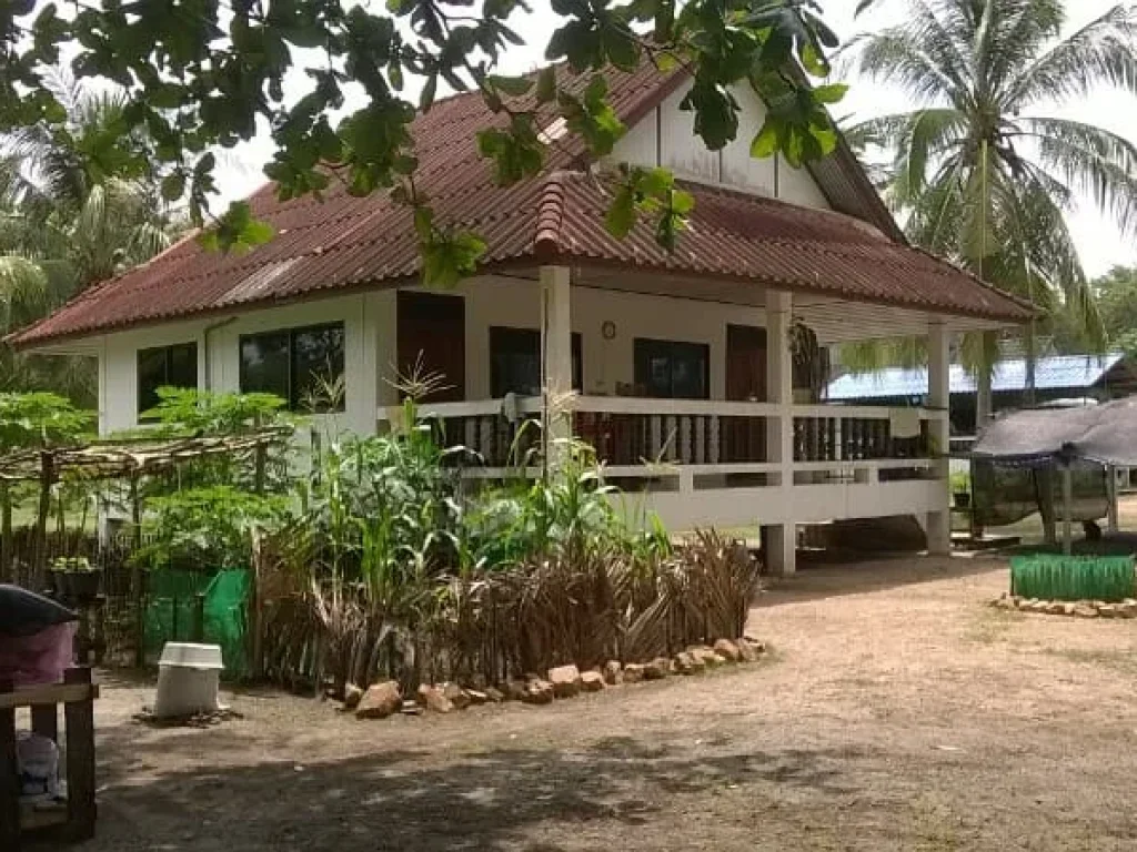 Sea view House for Rent at SathingPhra beachSongkhla