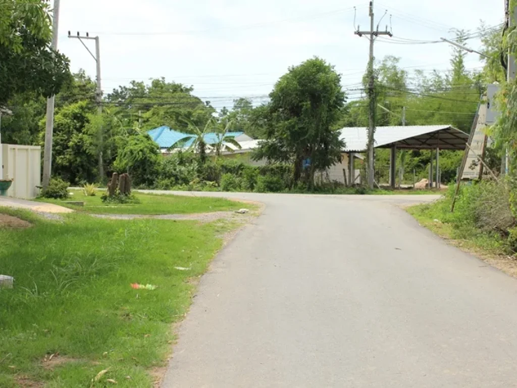 ที่ดิน 8ไร่ ตำบลหัวหิน อำเภอหัวหิน จังหวัดประจวบคีรีขันธ์