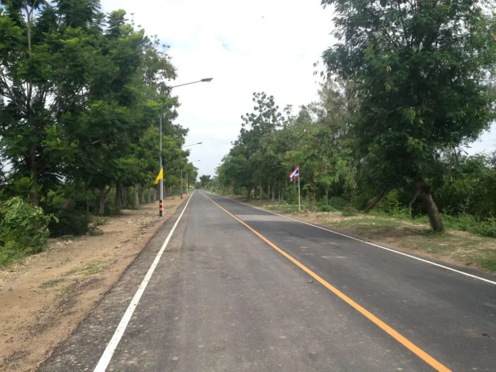 ขายที่ดิน22ไร่หาดเจ้าสำราญเหมาะจัดสรรและทำเกษตร จเพชรบุรี