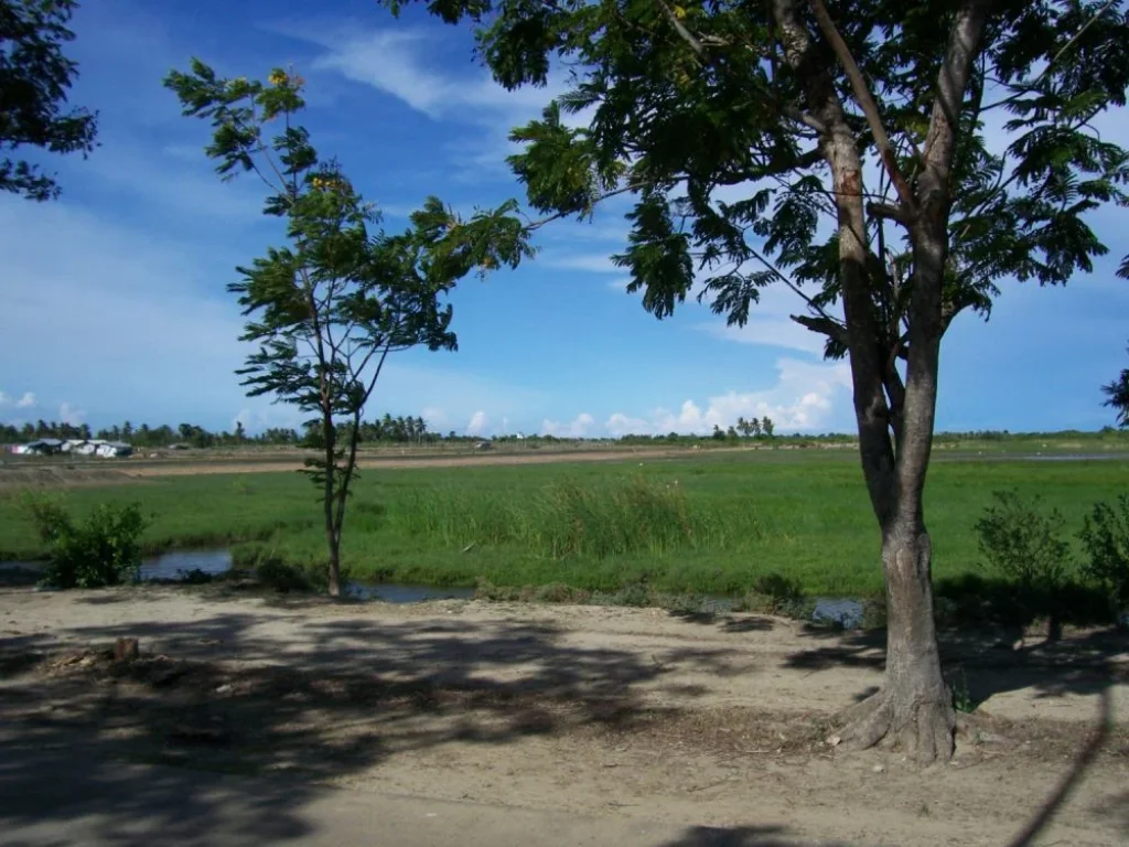 ขายที่ดิน22ไร่หาดเจ้าสำราญเหมาะจัดสรรและทำเกษตร จเพชรบุรี