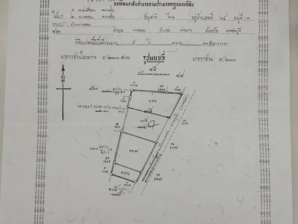 ขายที่ดินไร่มะนาวเก่า อำเภอท่ายาง จังหวัดเพชรบุรี