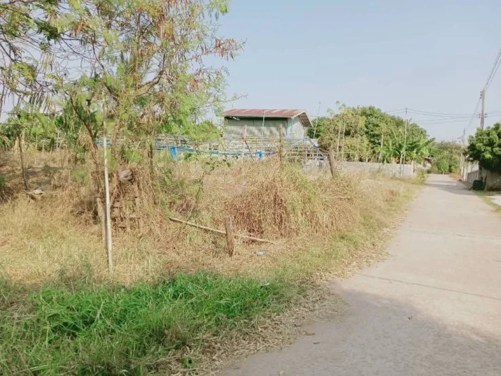 ขายที่ดินเปล่า บ้านโนนศิลา ถมแล้ว ตหนองข่า อเกษตรสมบูรณ์ จชัยภูมิ