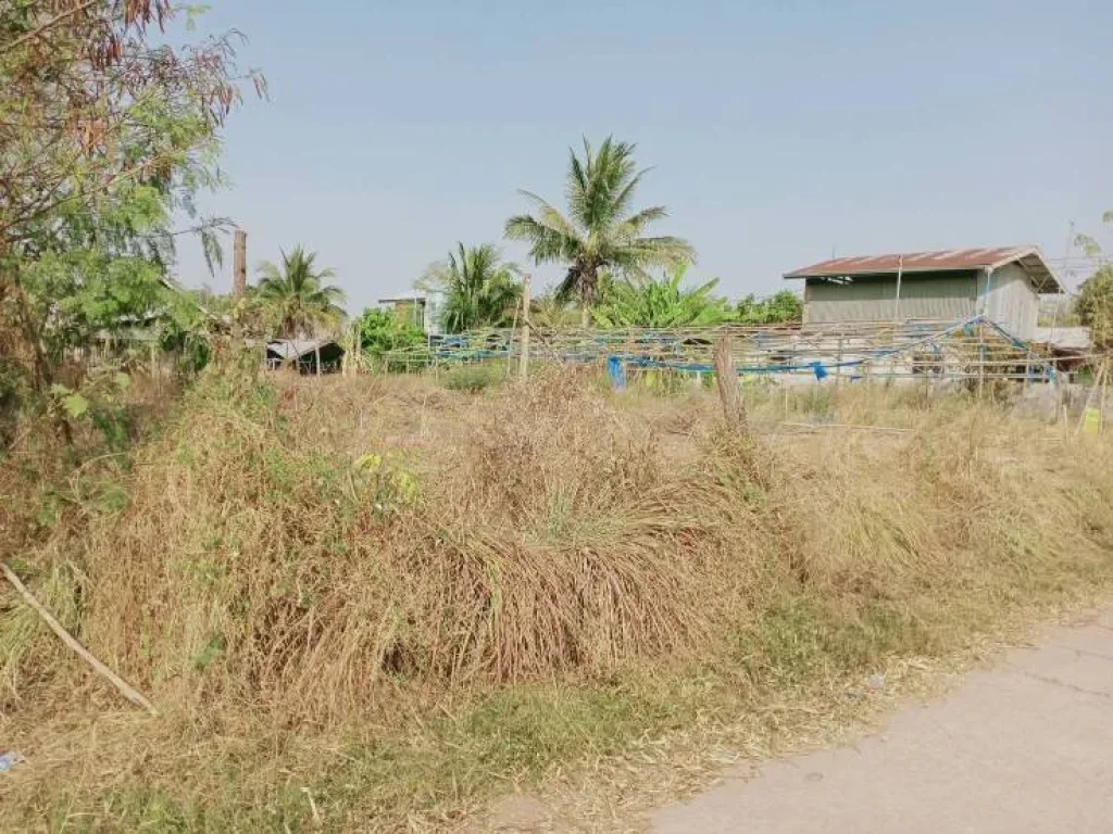 ขายที่ดินเปล่า บ้านโนนศิลา ถมแล้ว ตหนองข่า อเกษตรสมบูรณ์ จชัยภูมิ