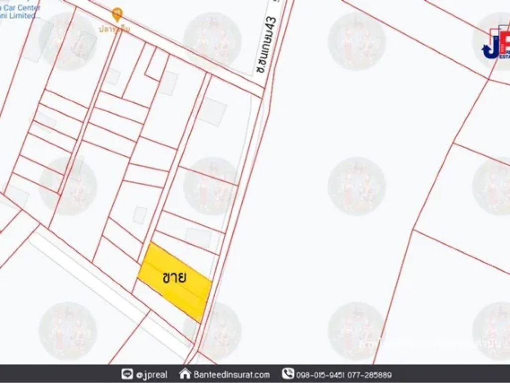 ขาย ที่ดินเปล่า 200 ตรว ซชนเกษม43 สุราษฎร์ธานี ติดถนนลาดยาง เหมาะสร้างบ้าน ใกล้มราชภัฎ 10 นาที