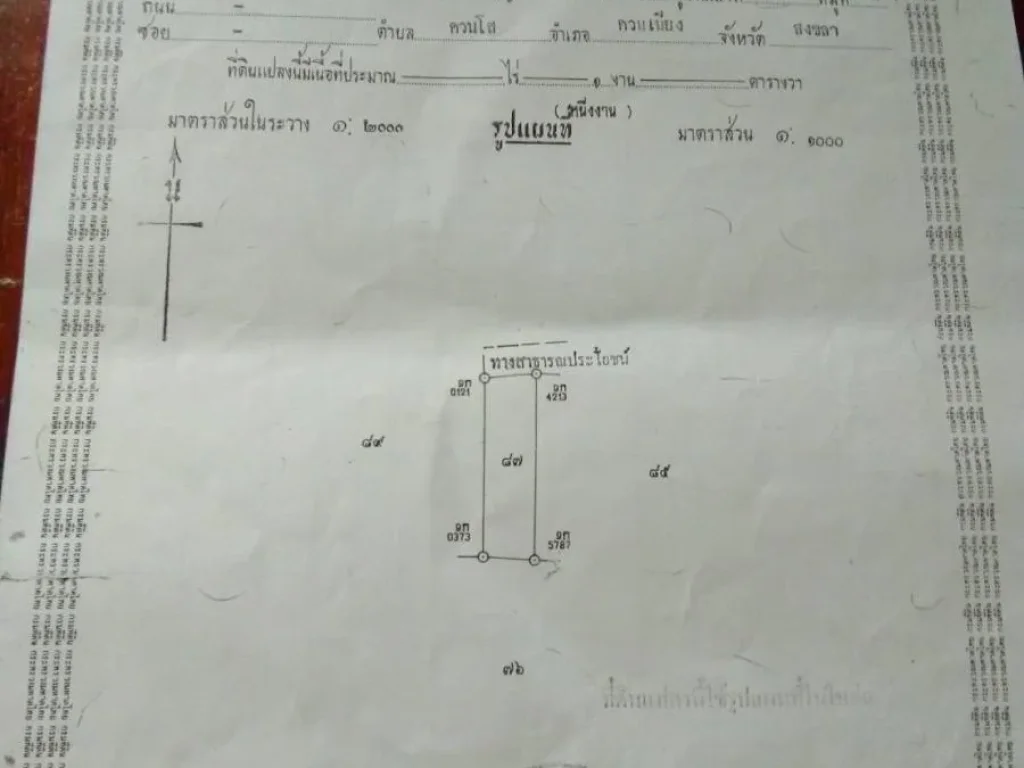 ขาบบ้านเดี่ยว พร้อมอยู่ 53ตรว ควนเนียง ควนโส