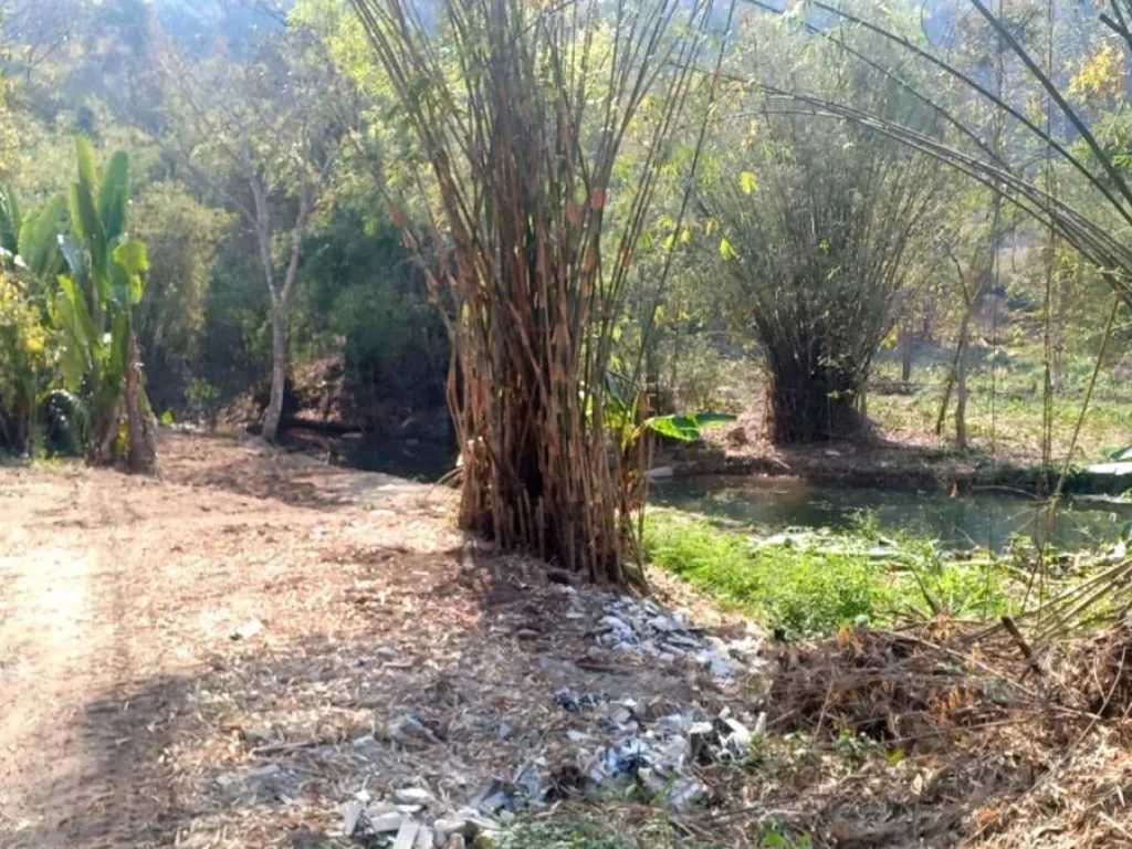 ขายที่ดินติดธารน้ำ ห่างถนนหลัก 300เมตร ดอยสะเก็ต