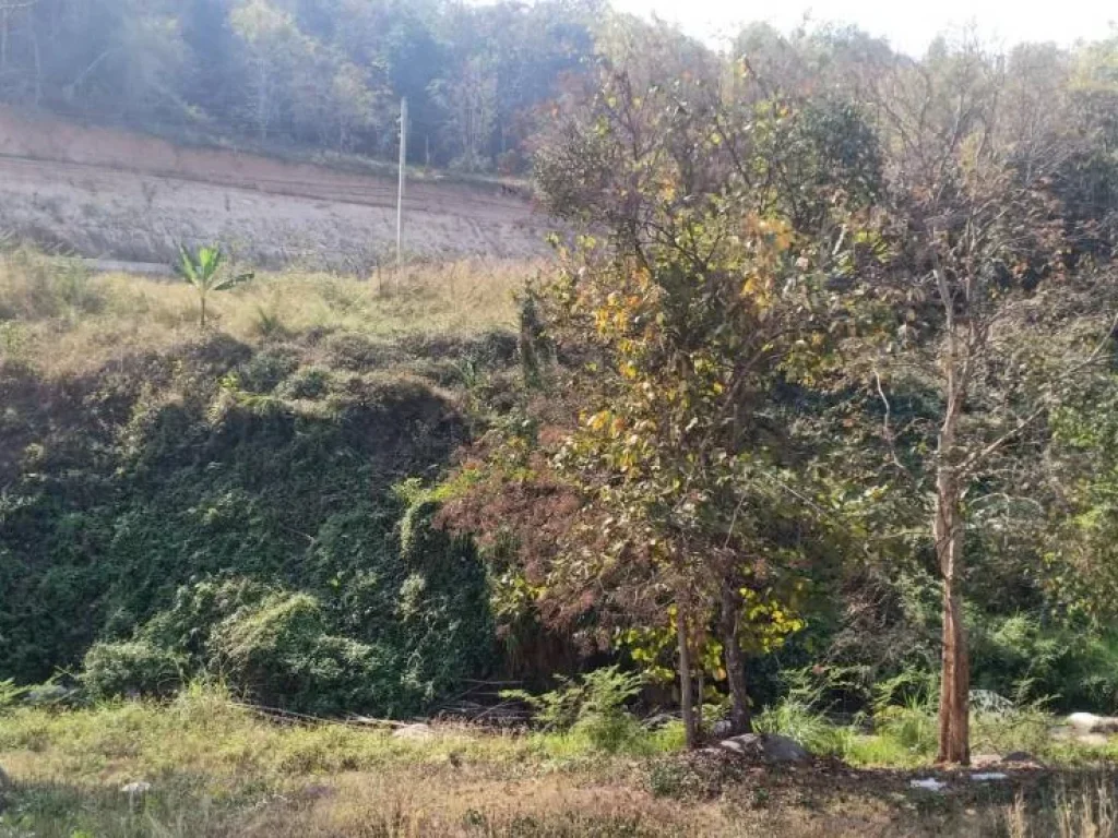 ขายที่ดินติดธารน้ำ ห่างถนนหลัก 300เมตร ดอยสะเก็ต