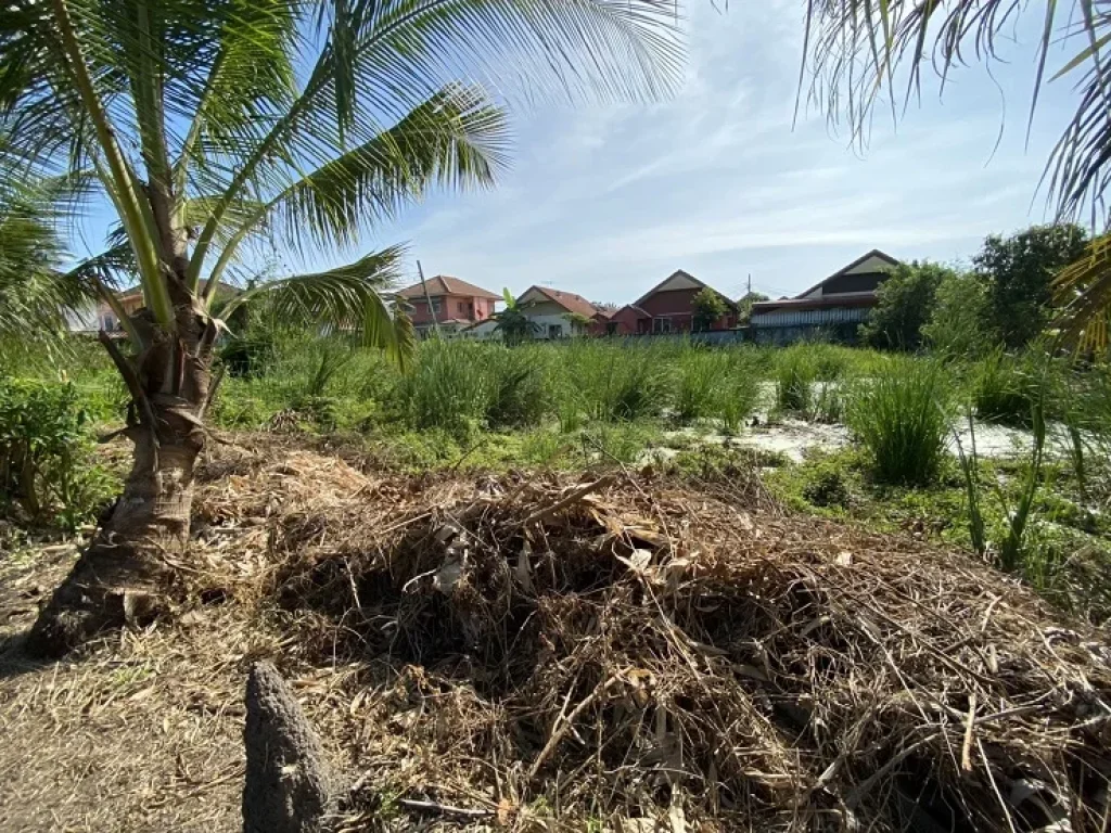 ด่วน ขายที่ดินจัดสรร ขนาด 50 ตรว ซอย สุวินทวงศ์ 47 ราคาถูก เหมาะสร้างบ้าน ราคาถูกมาก