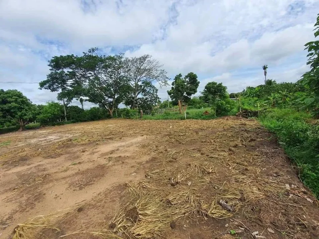 ขายที่ดินติดลำเหมือง พญาชมภู สารภี ราคาถูก