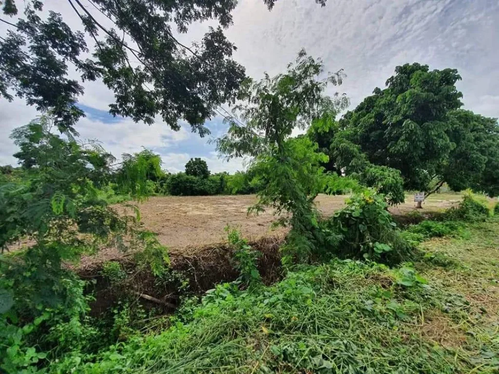 ขายที่ดินติดลำเหมือง พญาชมภู สารภี ราคาถูก