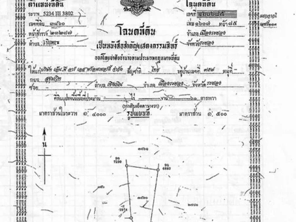 ขาย บ้านเดี่ยวชั้นเดียว ทรัพย์นลิน พื้นที่ 24367 ตรม 3นอน 4น้ำ อำเภอเมืองระยอง