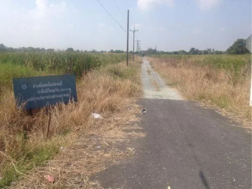 ขายที่ดินใหญ่ใกล้เอเบคบางนา 5โร่ 87 ตรว สวยมาก Land for sale near Assumption University