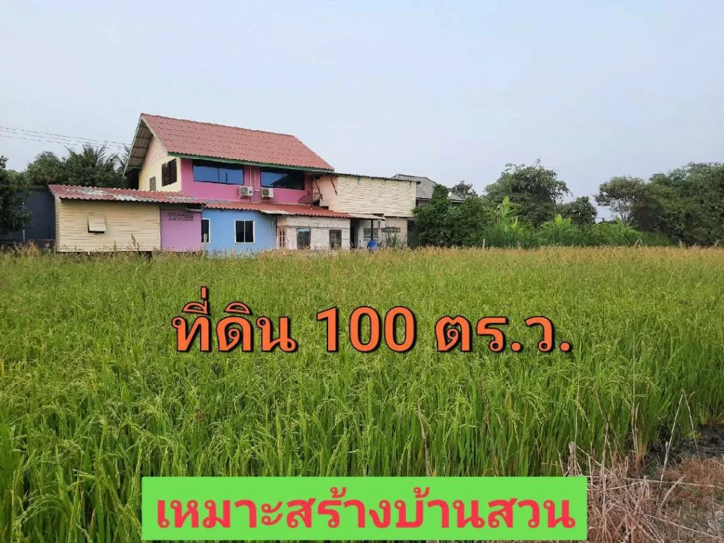 ขายที่ดินสร้างบ้านสวน 100 ตารางวา ติดถนนลาดยาง ตำบล หนองเพรางาย อำเภอไทรน้อย นนทบุรี