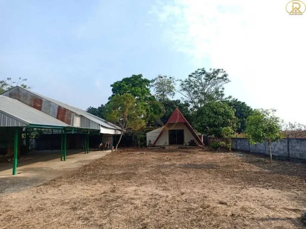 ขายที่ดินแปลงสวย แถมฟรีโรงเรือนและบ้านพักหลังเล็ก1หลัง ตนิคมพัฒนา อนิคมพัฒนา จระยอง