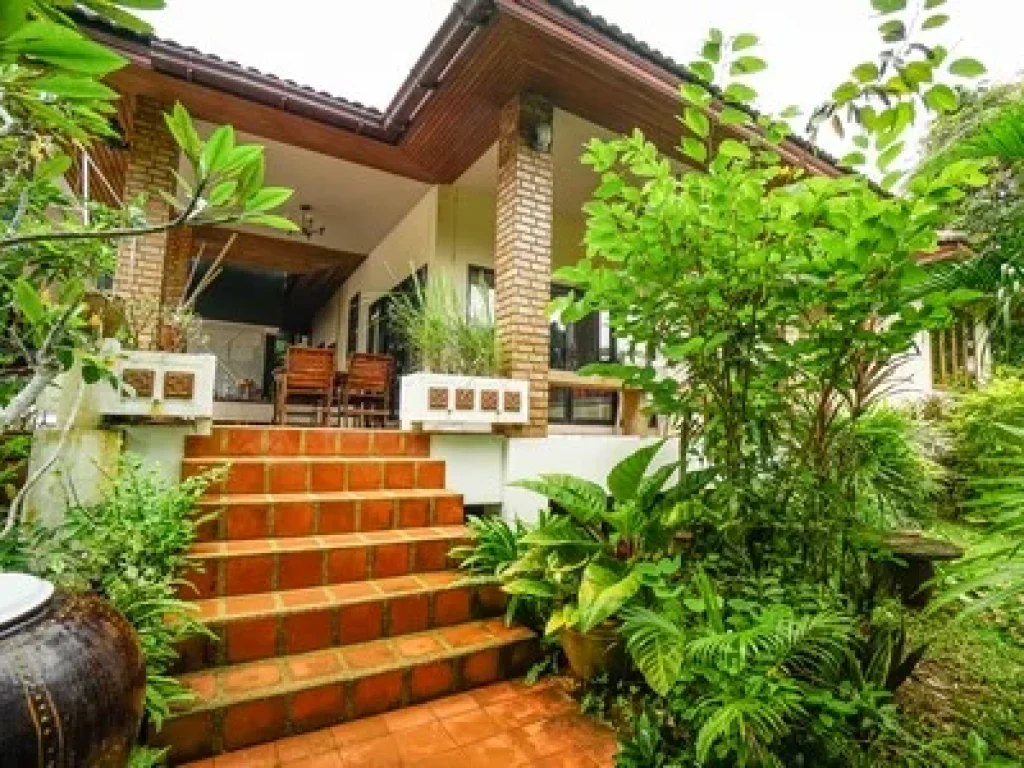 ขายที่ดิน พร้อมบ้าน 6 หลัง Villa ขายถูก เนื้อที่ 1 ไร่ ใกล้หาดละไม หัวถนน อเกาะสุมย สุราษฎร์