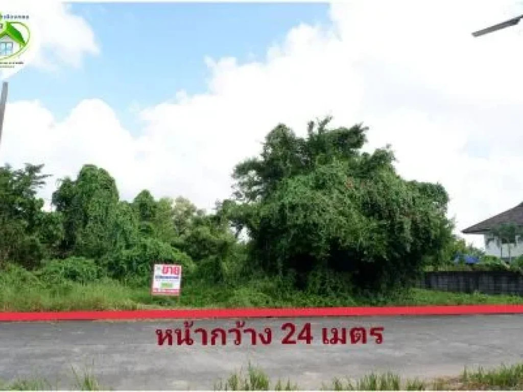 ขาย ที่ดิน ที่สวย ติดถนนทั้ง2ฝั่ง ใกล้ถนนใหญ่ ทำเลดี ที่ดิน 240ตรว เดินทางสะดวก ไม่ไกลจากสนามบิน