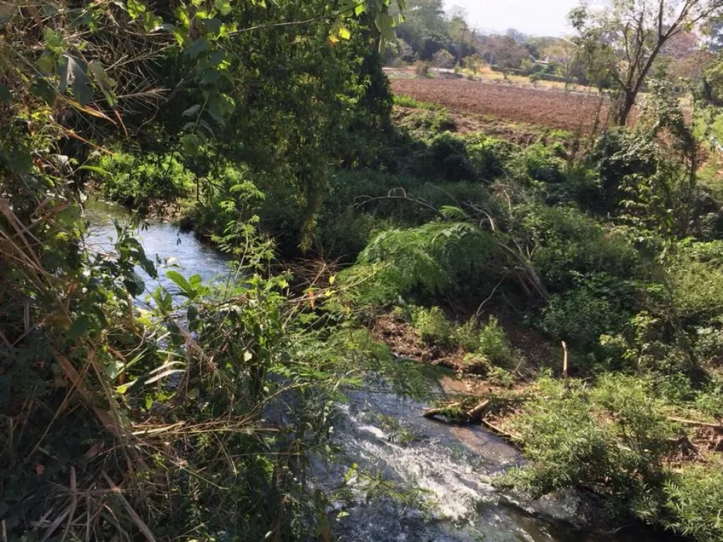 ขายที่ดินในตัวเมือง อปากช่อง-เขาใหญ่