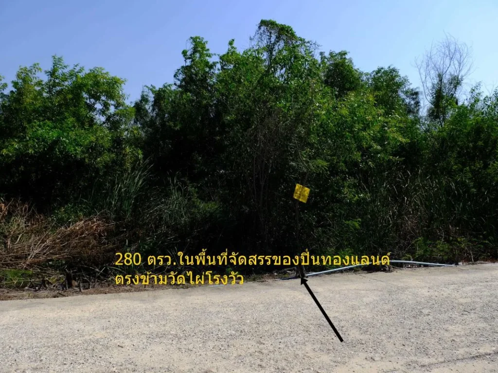 ขายที่ดิน อยู่ฝั่งตรงข้ามวัดไผ่โรงวัว ในพื้นที่ที่ดินจัดสรรของ ปิ่นทองแลนด์ 280 ตรว