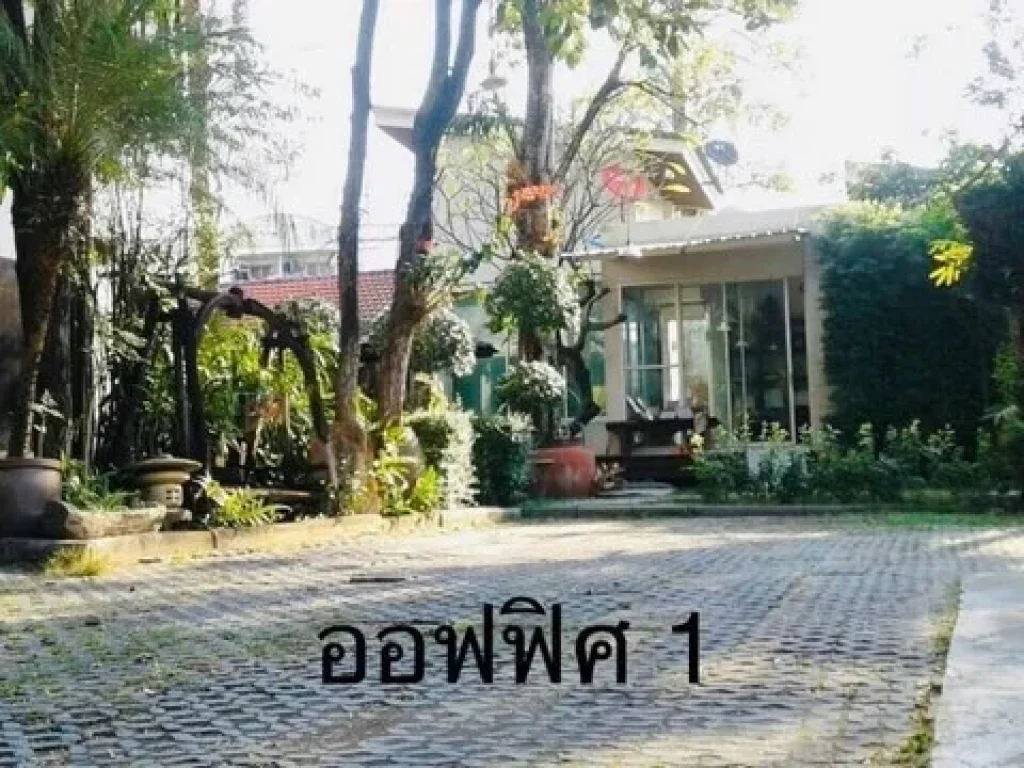 บ้านเดี่ยวพร้อมที่ดิน ซรามคำแหง 16 ตกแต่งพร้อมอยู่ บรรยากาศร่มรื่น เดินทางสะดวก ใกล้ใจกลางเมือง