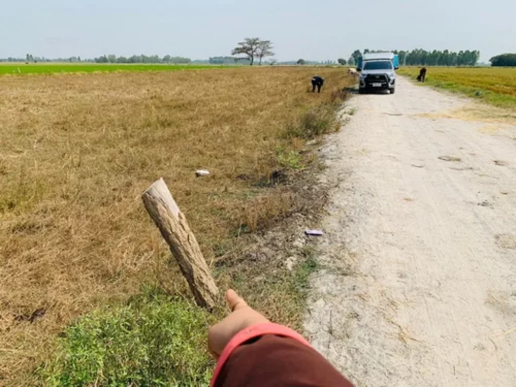 ขายที่ดิน 3511 ตรว ที่ดินสวย ทำเล ตหนองโอ่ง ออู่ทอง จสุพรรณบุรี