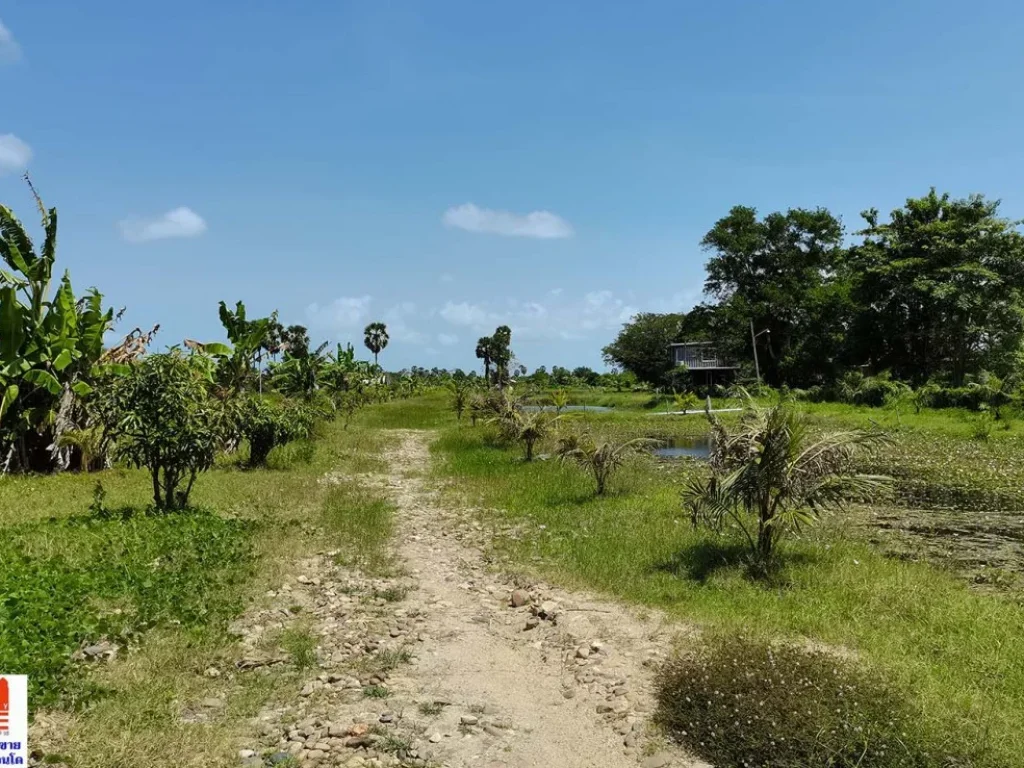 ขายที่ดินเปล่าติดถนน ตปากนคร อเมืองนครศรีธรรมราช จนครศรีธรรมราช