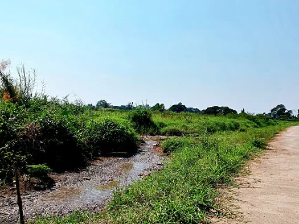 ขายที่ดิน บ้านหนองไคร้ ตำบลหนองตอง อำเภอหางดง จังหวัดเชียงใหม่