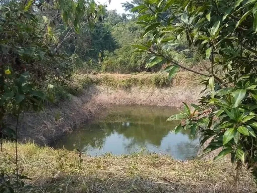 ที่ดินแปลงใหญ่ 21 ไร่กว่า ขายถูก อุตรดิตถ์