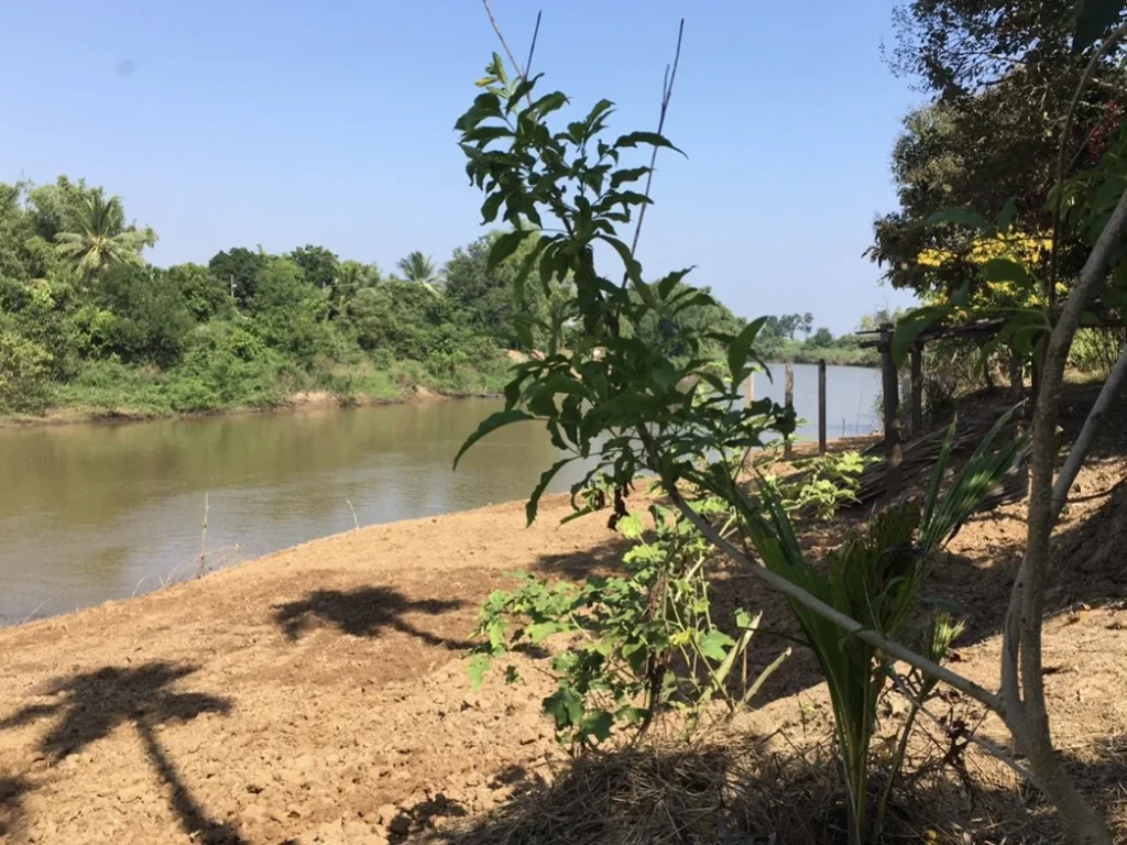 ที่ดินสวย บรรยากาศดี ริมแม่น้ำปราจีนบางปะกง มีพื้นที่เป็นชายหาดส่วนตัว