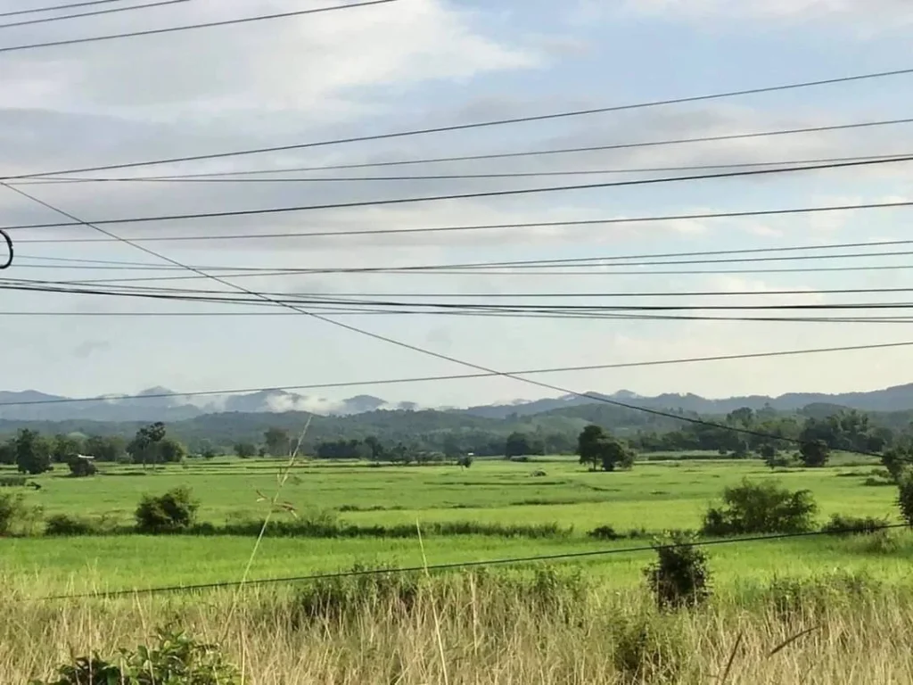 ขายที่ดินวิวทุ่งนา ภูเขา ติดคลองน้ำและทางหลวง อท่าลี่ เลย