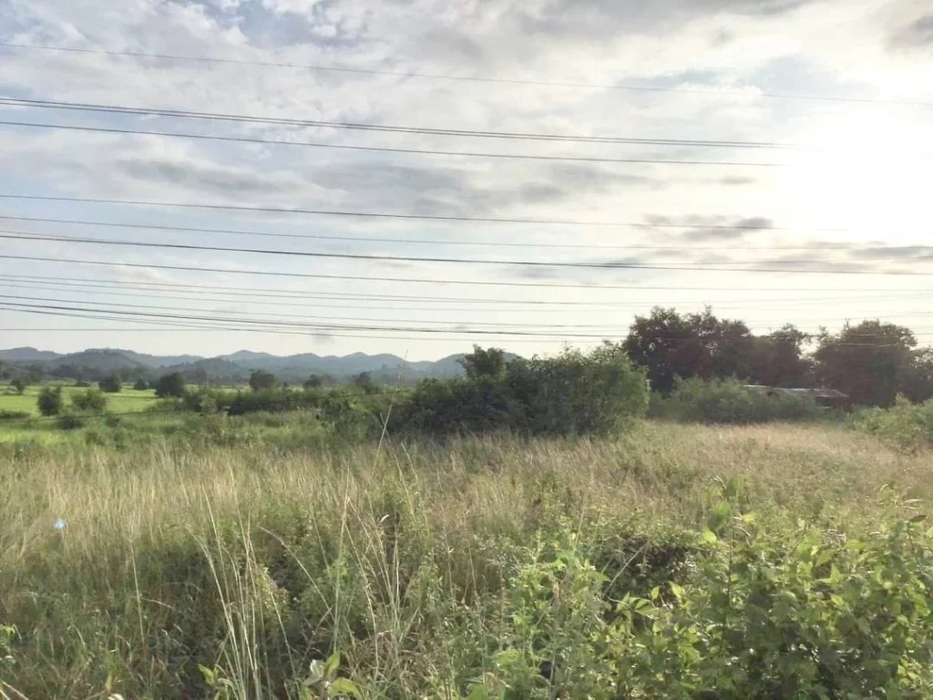 ขายที่ดินวิวทุ่งนา ภูเขา ติดคลองน้ำและทางหลวง อท่าลี่ เลย