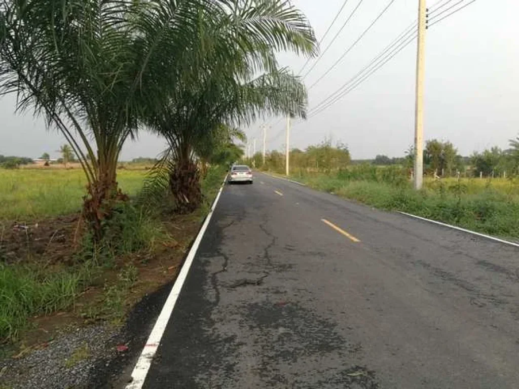 ขาย ที่ดิน 6-1-20 ไร่ ถนนบึงบอน ซอย51 ตบึงบอน อหนองเสือ จปทุมธานี