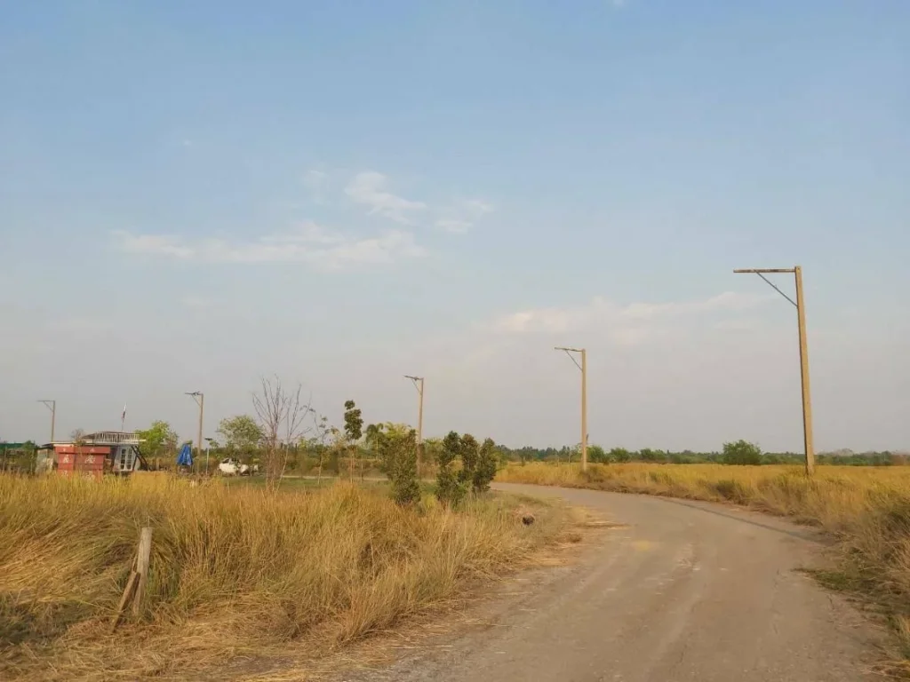 ขายที่ดินนครนายก150ตรวา คลอง30 อากาศดี น้ำไฟเข้าถึง เหมาะทำบ้านสวนพักผ่อน เงียบสงบ ใกล้กรุงเทพ