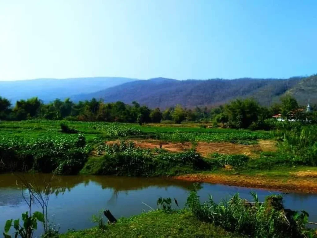 ขายที่ดินติดน้ำ จอมทอง บ้านหลวง ราคาถูก