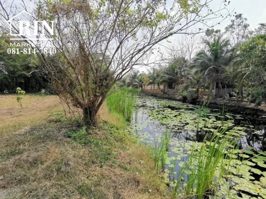 ขายที่ดินเปล่าแปลงจัดสรรในโครงการเจ้าสำราญเลคแอนด์ฮิลล์ พื้นที่ 160 ตรว