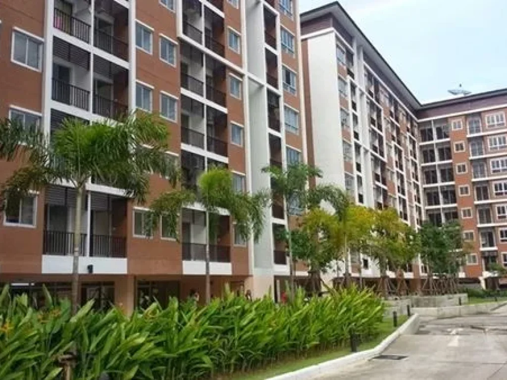 ขายให้เช่า B Condo บี คอนโด บางนา ห้องสตูดิโอ 30 ตรม ชั้น 5 วิวสระว่ายน้ำ