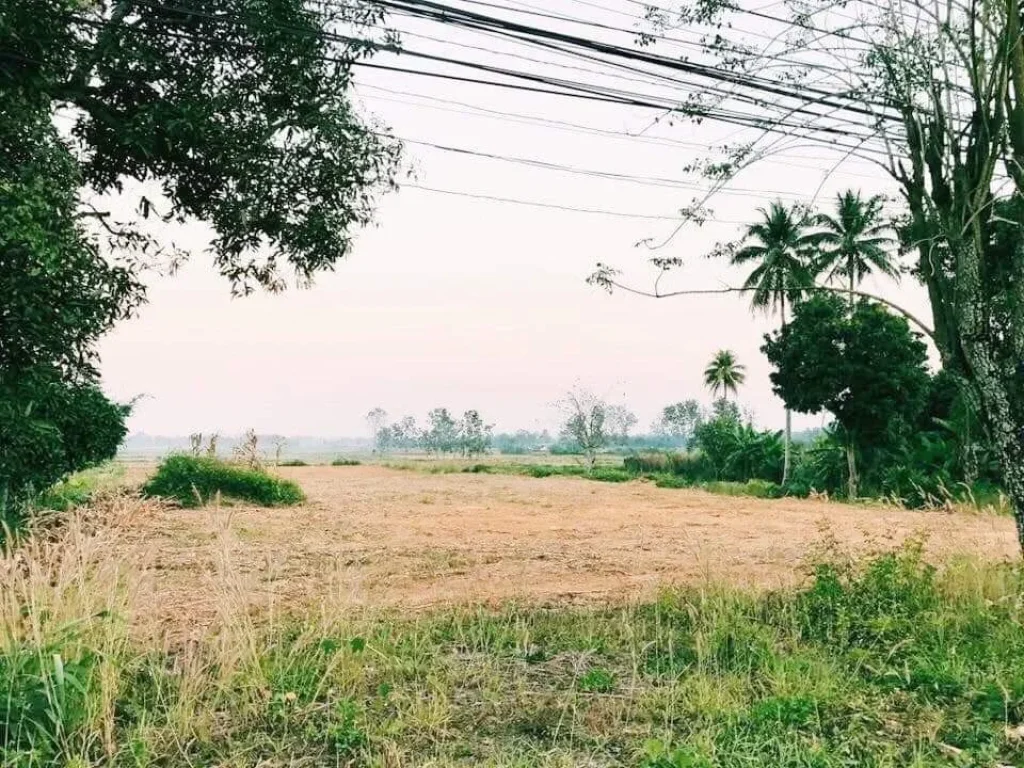 ขายที่ดินติดถนนพหลโยธิน วิวดอยนางนอน พื้นที่ 5 ไร่ เหมาะสำหรับทำโรงแรม รีสอร์ท