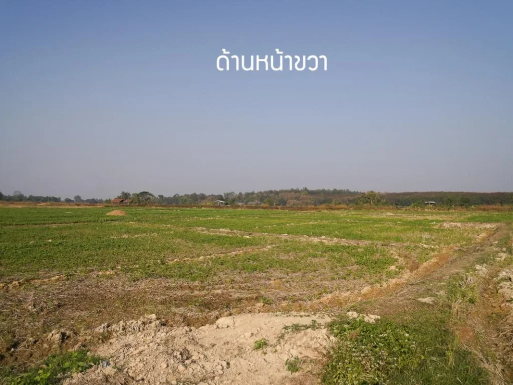 ที่นา บ้านน้ำแก่น จังหวัดน่าน 2-1-68 ไร่ ติดถนนดำ ไฟฟ้าถึง ไร่ละ125 ล้าน