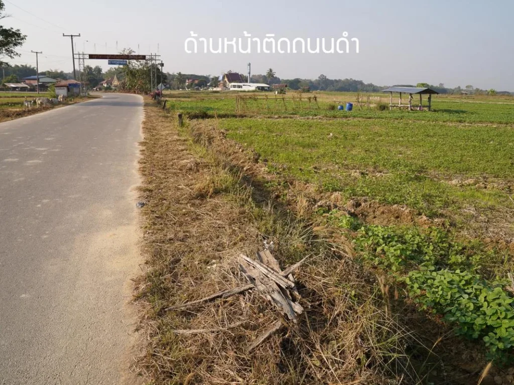 ที่นา บ้านน้ำแก่น จังหวัดน่าน 2-1-68 ไร่ ติดถนนดำ ไฟฟ้าถึง ไร่ละ125 ล้าน