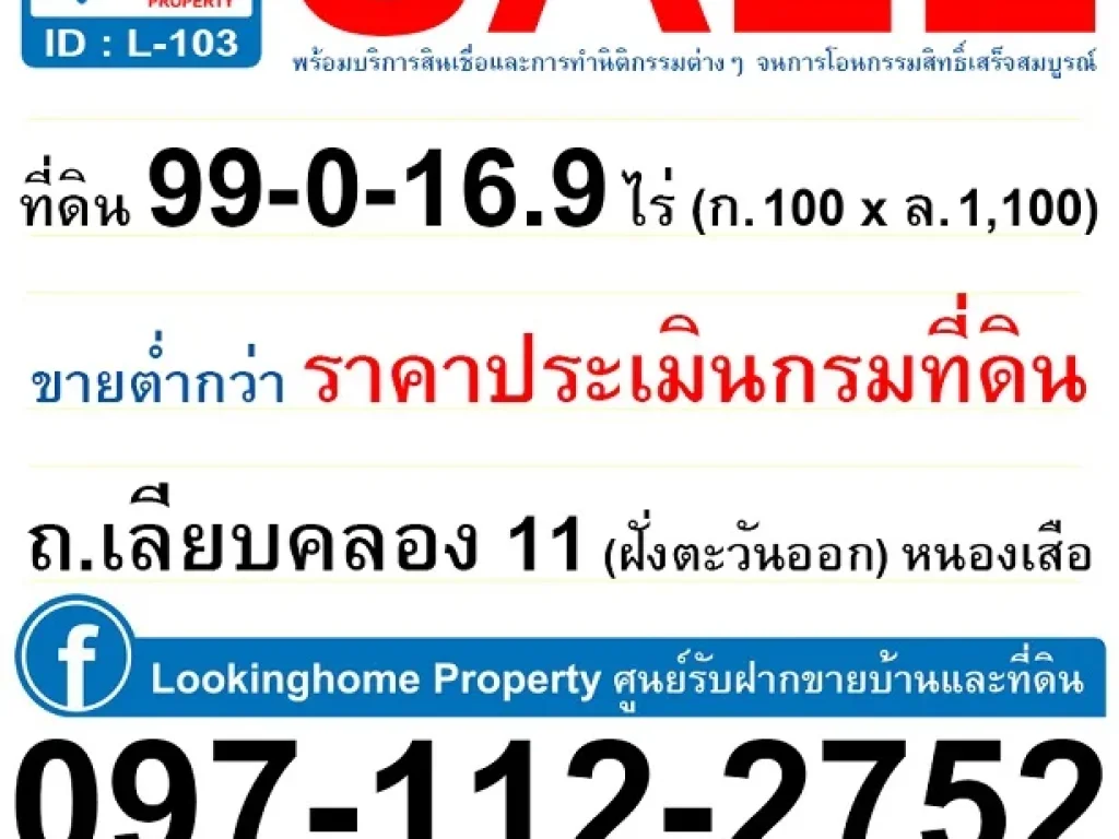 ที่ดิน 99-0-17 ไร่ ขายต่ำกว่าราคาประเมินกรมที่ดิน ถเลียบคลอง 11 ปท3022 หนองเสือ ปทุมธานี